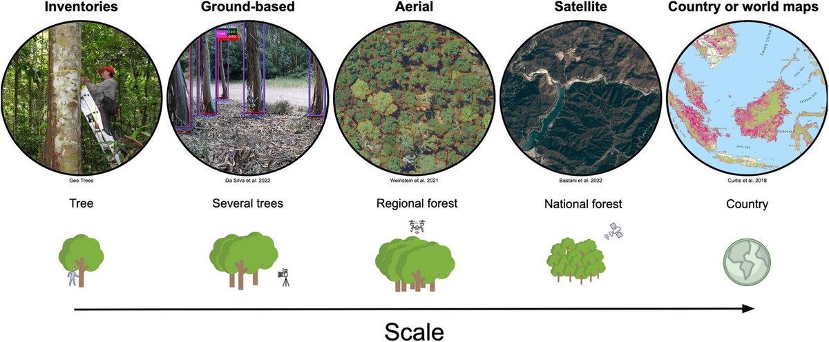 Environmental Data Science (@envdatascience) on Twitter photo New article!
OpenForest: a data catalog for machine learning in forest monitoring
👉 bit.ly/41IK23B
By <a href="/ArthurOuaknine/">Arthur Ouaknine</a>, <a href="/TejaKattenborn/">Teja Kattenborn</a>, <a href="/etnlalib/">Etienne Laliberté</a> and
<a href="/david_rolnick/">David Rolnick</a>
#MachineLearning #RemoteSensing #data #forests New article!
OpenForest: a data catalog for machine learning in forest monitoring
👉 bit.ly/41IK23B
By <a href="/ArthurOuaknine/">Arthur Ouaknine</a>, <a href="/TejaKattenborn/">Teja Kattenborn</a>, <a href="/etnlalib/">Etienne Laliberté</a> and
<a href="/david_rolnick/">David Rolnick</a>
#MachineLearning #RemoteSensing #data #forests