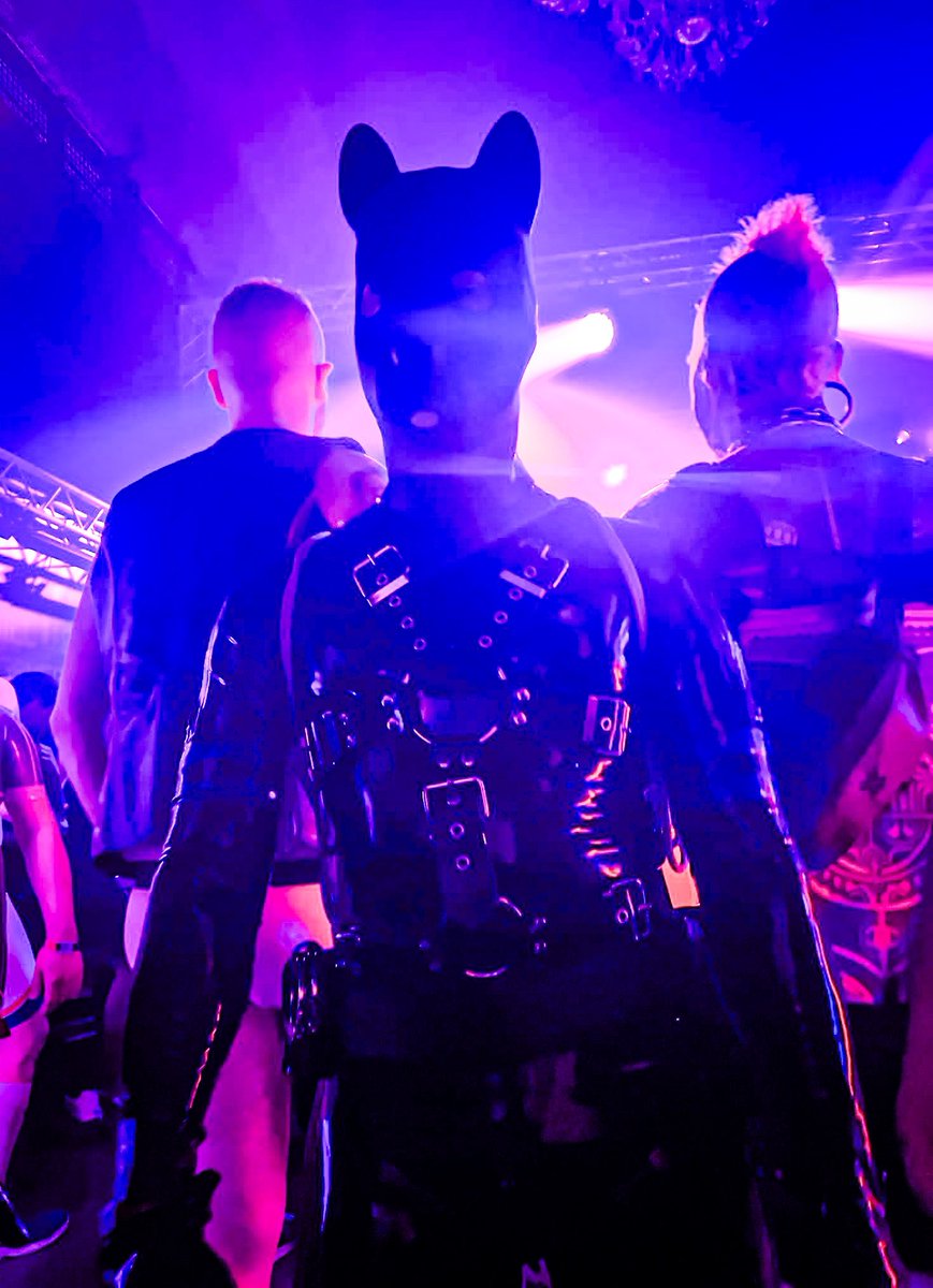 Multiversal (@multiversalkink) on Twitter photo Rubber dog on the dance floor!
—
Photo by <a href="/PupCassy/">Cassy 🔜 Toronto & Denver</a>
—
(bsky saw it first 😉) Rubber dog on the dance floor!
—
Photo by <a href="/PupCassy/">Cassy 🔜 Toronto & Denver</a>
—
(bsky saw it first 😉)
