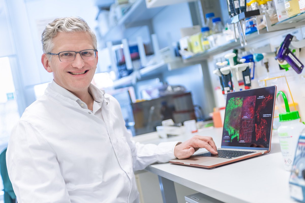 DKFZ (@dkfz) on Twitter photo Frank Winkler vom DKFZ, <a href="/UniHeidelberg/">Uni Heidelberg</a> & <a href="/uniklinik_hd/">Universitätsklinikum Heidelberg</a> erhält den Brain Prize 2025, den höchstdotierten Forschungspreis der Neurowissenschaften & Neuromedizin. Er entdeckte, dass Nervenzellen des Gehirns mit Hirntumorzellen kommunizieren. 👏
➡️ t1p.de/cimfn Frank Winkler vom DKFZ, <a href="/UniHeidelberg/">Uni Heidelberg</a> & <a href="/uniklinik_hd/">Universitätsklinikum Heidelberg</a> erhält den Brain Prize 2025, den höchstdotierten Forschungspreis der Neurowissenschaften & Neuromedizin. Er entdeckte, dass Nervenzellen des Gehirns mit Hirntumorzellen kommunizieren. 👏
➡️ t1p.de/cimfn