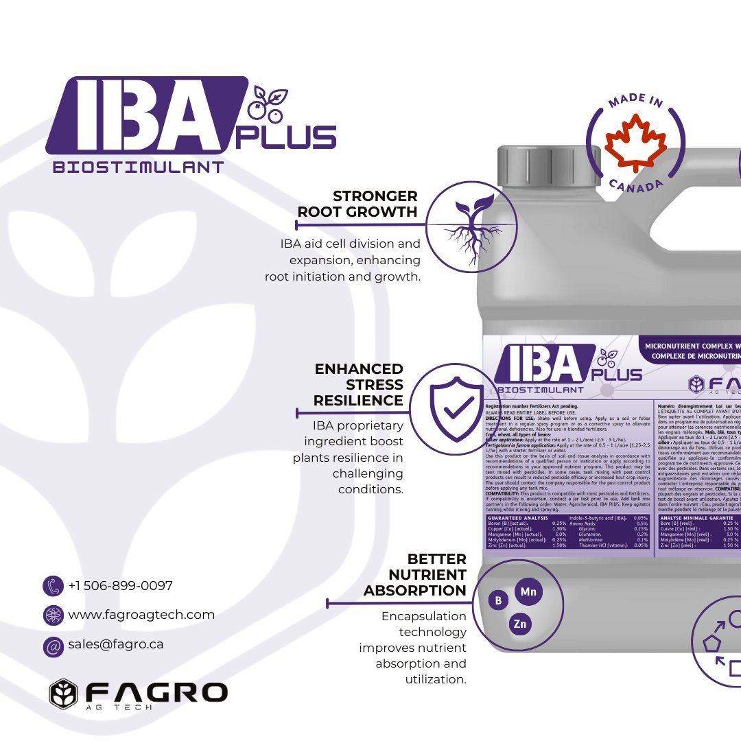 FagroAgTech's tweet photo. Stronger roots. Healthier crops. Bigger yields!
IBA Plus boosts root growth, stress resilience, and nutrient absorption, helping your plants thrive!
💧 Flexible application
🌾 Optimized nutrients
🛡️ Enhanced plant strength
Boost your yield with IBA Plus!
#IBAPLUS #AgTech #CdnAg https://t.co/mvTSV9LMRd