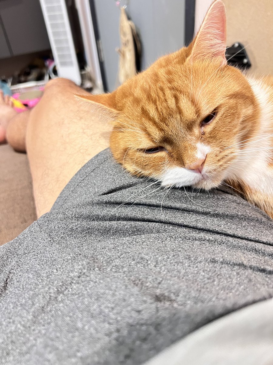 อยากมีคนซบมากกว่า