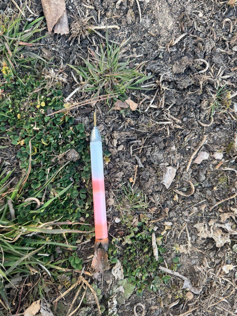 Siirt Hayvan Hakları Derneği (SİHAK) tweet media