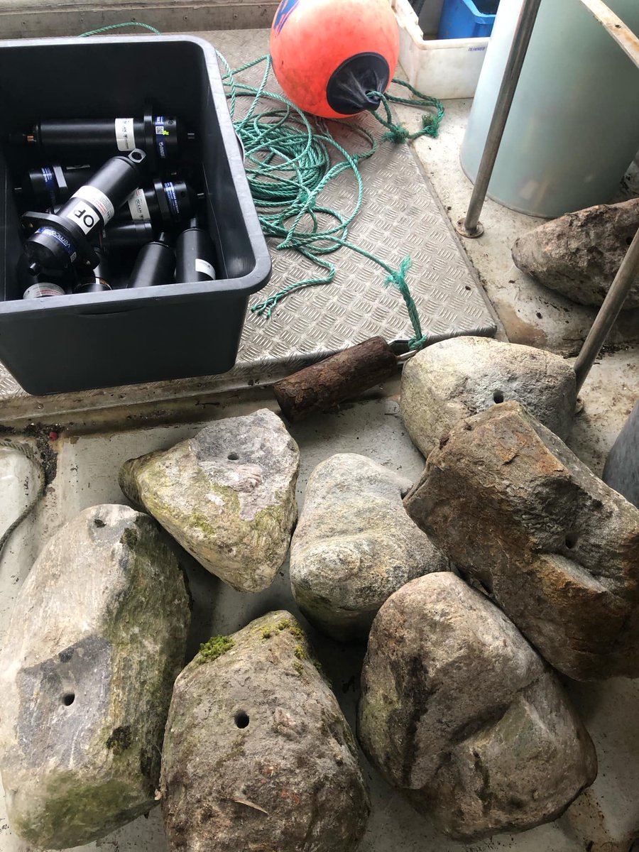 louise chavarie (@louisechavarie) on Twitter photo We’re deploying 106 receivers in the inner Oslofjord for the NMBU cod project with <a href="/OceanTracking/">Ocean Tracking Network</a> . This study tracks migration and movement shifts in two cod ecotypes and assessing habitat changes. Using Thelma and Innovation equipment, an open protocol is key to the project! We’re deploying 106 receivers in the inner Oslofjord for the NMBU cod project with <a href="/OceanTracking/">Ocean Tracking Network</a> . This study tracks migration and movement shifts in two cod ecotypes and assessing habitat changes. Using Thelma and Innovation equipment, an open protocol is key to the project!