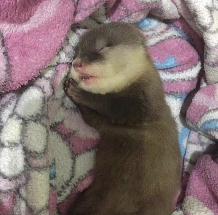 eu depois do almoço