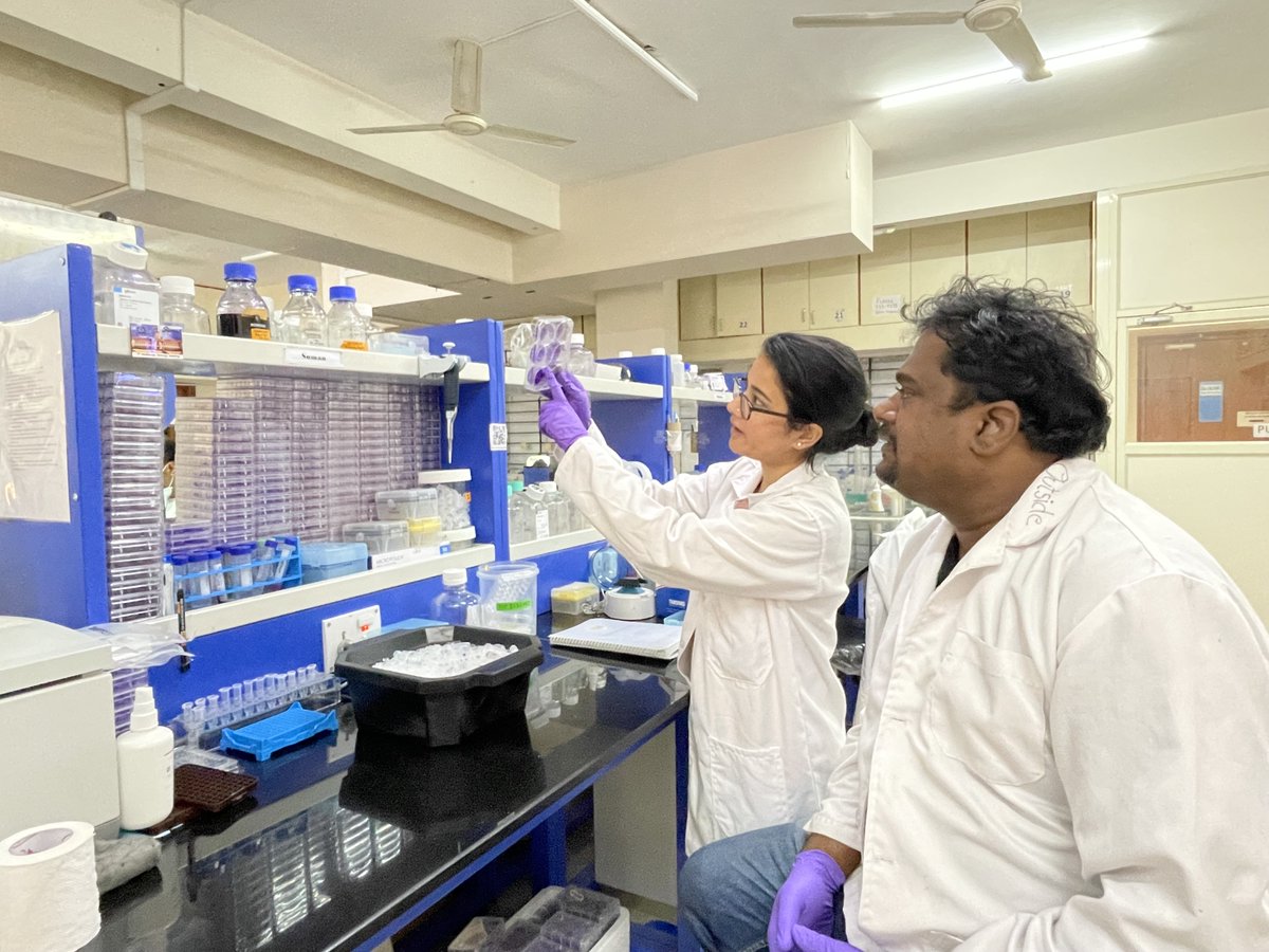 IISc Bangalore (@iiscbangalore) on Twitter photo As a child, Shashank Tripathi developed a fascination for studying infectious diseases.
Today, his lab (<a href="/evp_iisc/">Emerging Viral Pathogens Lab, CIDR, IISc</a>) at CIDR, IISc works on finding ways to prevent and treat them.
Read more about his work at: kernel.iisc.ac.in/an-arms-race-a…
#IIScresearch
<a href="/Shashank_IISc/">Shashank Tripathi</a> As a child, Shashank Tripathi developed a fascination for studying infectious diseases.
Today, his lab (<a href="/evp_iisc/">Emerging Viral Pathogens Lab, CIDR, IISc</a>) at CIDR, IISc works on finding ways to prevent and treat them.
Read more about his work at: kernel.iisc.ac.in/an-arms-race-a…
#IIScresearch
<a href="/Shashank_IISc/">Shashank Tripathi</a>