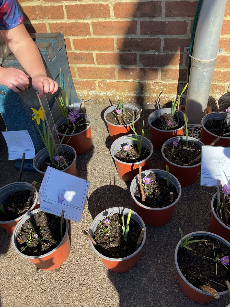 arwprimary tweet media