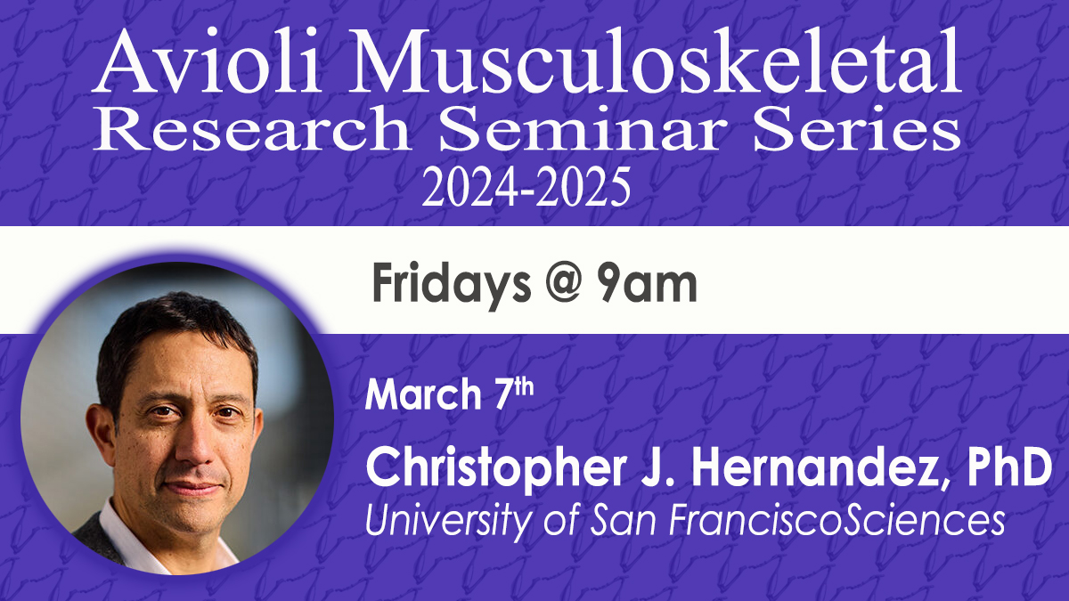 Looking forward to this Friday's Avioli Musculoskeletal Research Seminar:
“Microbiome, Bone Strength and Aging”
Info: bit.ly/3ejT7tz
@WashU_BMD,@WUSTLdbbs,<a href="/washu_ortho_res/">WashU Ortho Research</a>,<a href="/WashUBME/">WashU Biomedical Engineering</a>,<a href="/dveislab/">@dveislab</a>