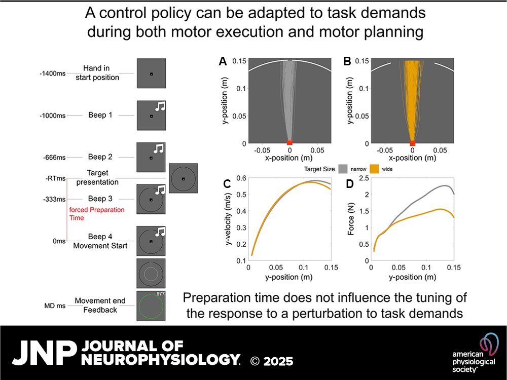 JNeurophysiol's tweet image. New research by Jean-Jacques Orban de Xivry and Robert M. Hardwick reveals the brain tunes movement parameters instantly, even while moving! This blurs the line between planning &amp;amp; execution.

 ow.ly/Vvi250UWQsa

@jjodx #MotorControl
