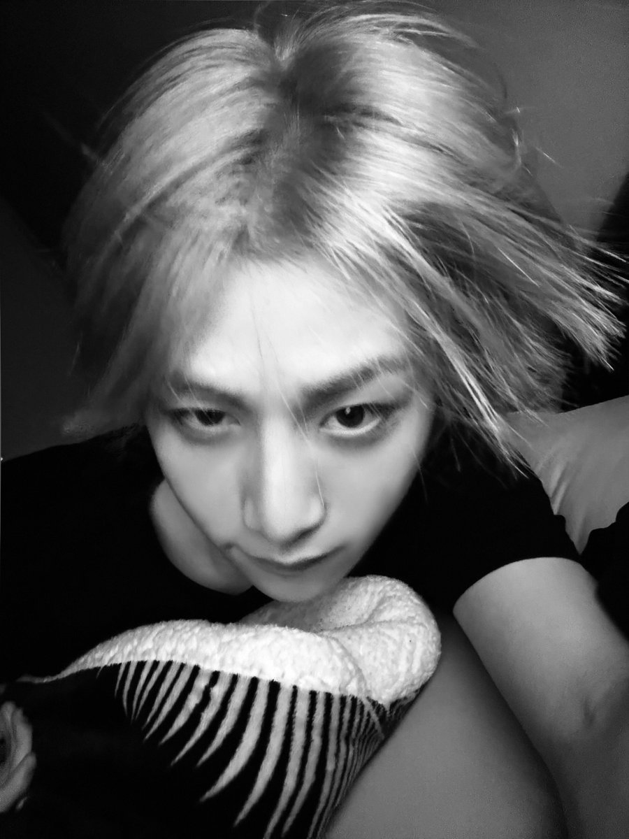 Diving headfirst into the abyss of slumber, wrapped in cozy chaos, where dreams hit different and reality hits pause. Night fades, thoughts drift, and the mind logs out. Sleep tight, Onedoor, the universe rewinds at dawn.