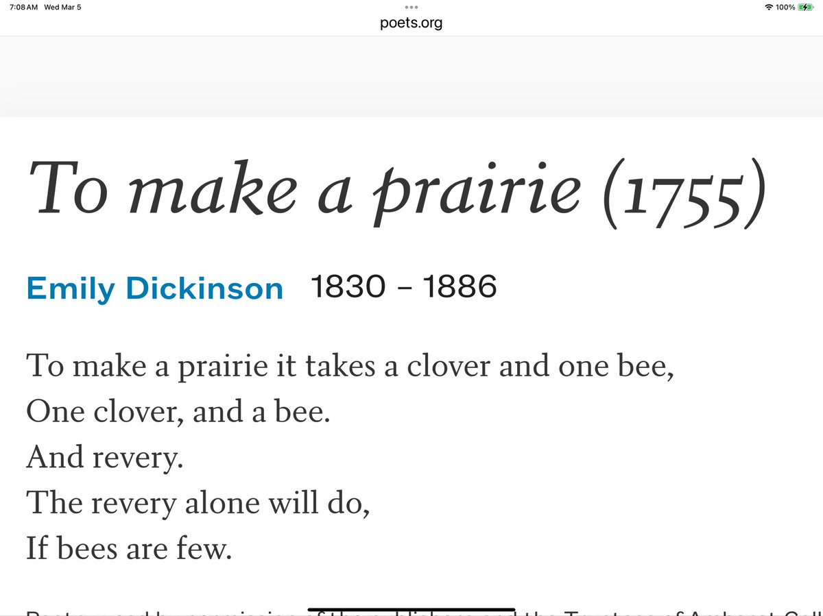 Carla Sarett tweet media