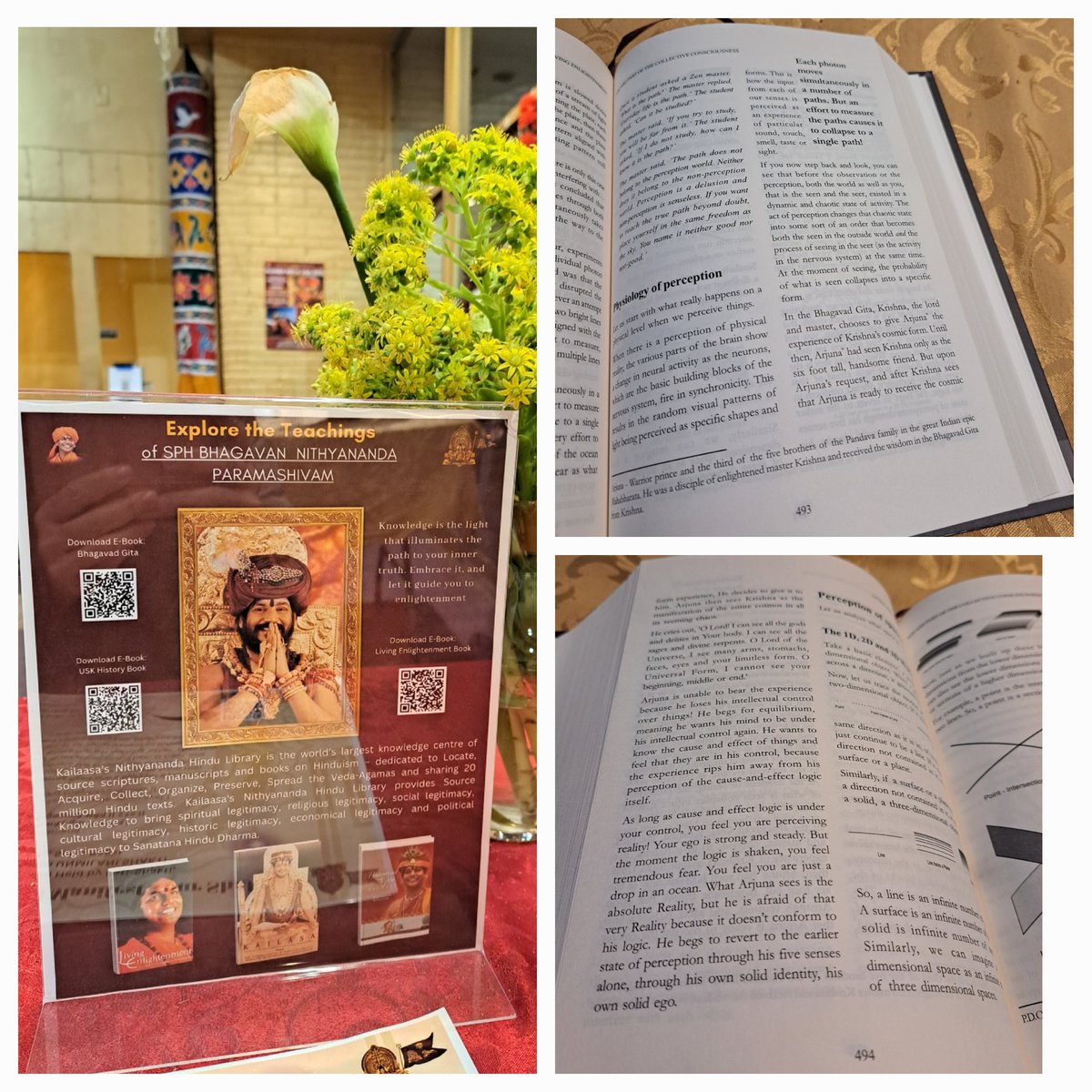OmMyGoodness's tweet photo. 13/100  Excitement comes from the experience, not the object, as highlighted in "Living Enlightenment" 

#Nithyananda #Kailasa #LivingEnlightenment@SriNithyananda

Download the book for Free: https://t.co/La5V2Ej4Kn https://t.co/24IRUFmjEu