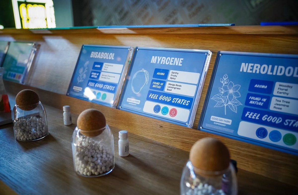 Stop and smell the terpenes! You can explore the unique aromas and read up on the benefits of each terpene discovering how they contribute to our Feel Good States.⁠
⁠
From Myrcene to Bisabolol, take a hands-on journey into the science of what makes each strain special.⁠
⁠