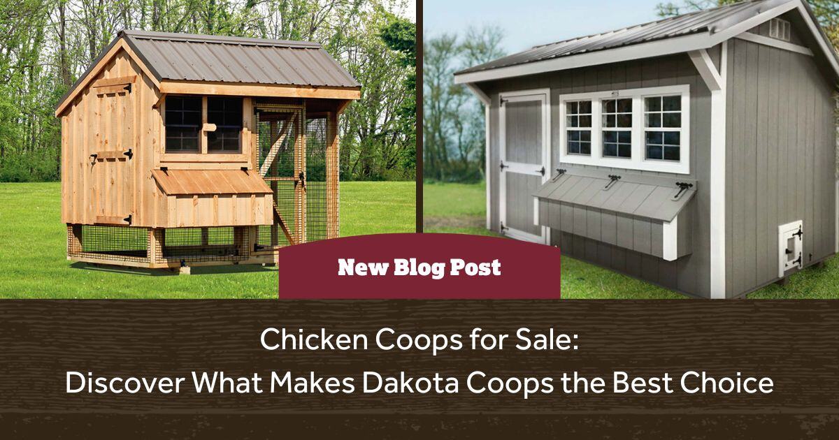 DakotaStorage's tweet photo. Finding the perfect chicken coop can be overwhelming, but weβre here to make it simple.
Our coops are built with quality, safety, and customization in mind.
Check out our blog to learn what makes our coops stand out.
π https://t.co/tQqXCP9jm5
#chickencoops #coops https://t.co/8tNkdFQJxy