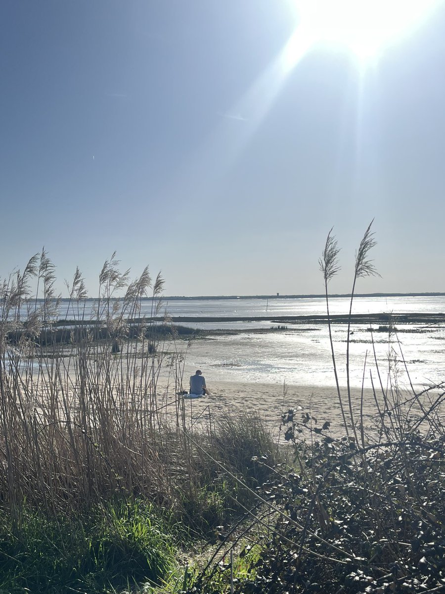 cauderanais23's tweet photo. Sortie sur le Bassin d’Arcachon
#Audenge https://t.co/N1hBPvRkup