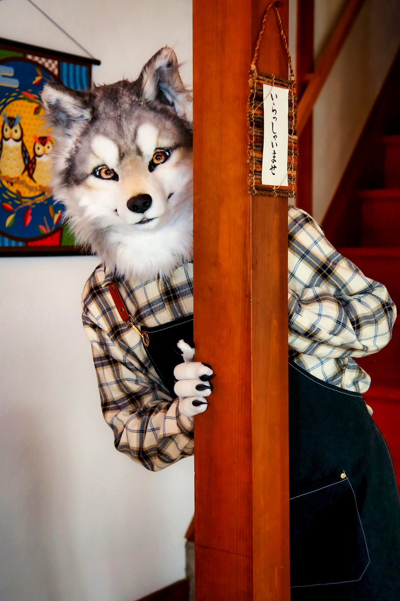 狙ってます🐾

📸<a href="/NomadFoxPhillip/">여우사진관 🦊📷</a>