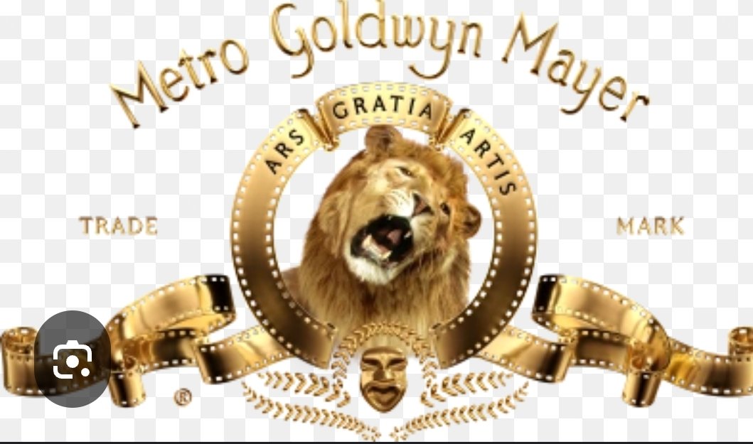 Bueno... No celebro Carnavales, pero se lució Metro Goldwyn <a href="/Mayer/">Mayer Mizrachi</a>  se llevó el Oscar en la City.