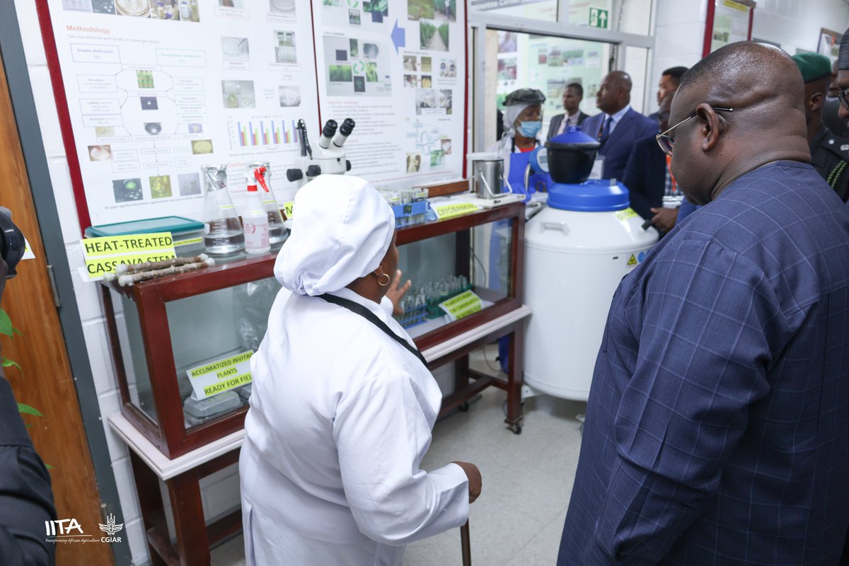 H.E. Dr. Julius Maada Bio, President of Sierra Leone visit IITA Headquarters in Ibadan, Nigeria. 
Conserving Treasures of African crops (IITA GENEBANK)
Global Food Security Starts Here...
#CIAT
#CGIAR
#CIMMYT
#ILRI
#research
#CROPTRUST
