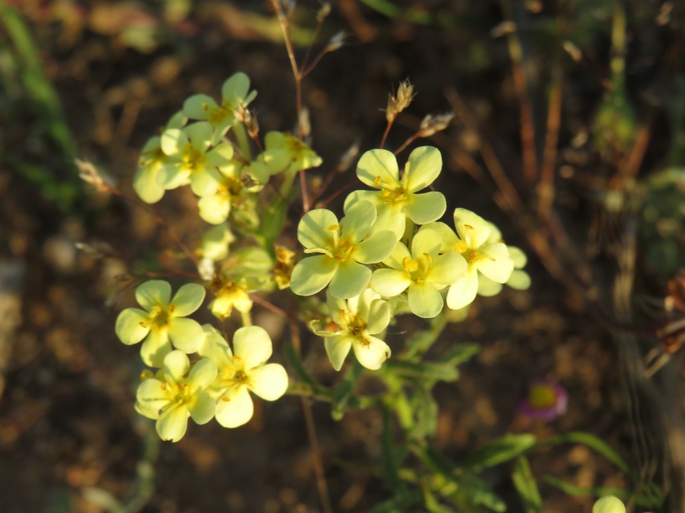 I 💛 Darling Newsletter - mailchi.mp/21612d78a6d5/i…

Click on Facebook Page Newsletter tab to subscribe to this weekly newsletter.

PHOTO:  Nicole Rothman