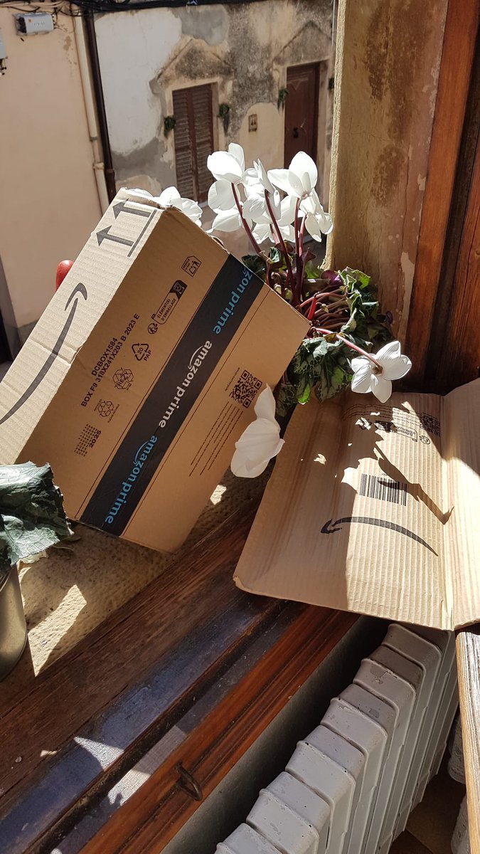 coralcm's tweet photo. @amazon ¿a dónde envío todas las facturas de las flores que me habéis roto tirando los paquetes por la ventana? Gracias https://t.co/ptkcwm9hQF