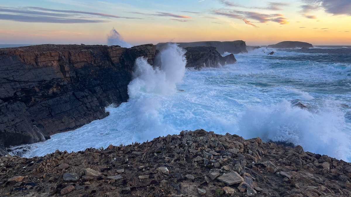 Ross Mackenzie tweet media