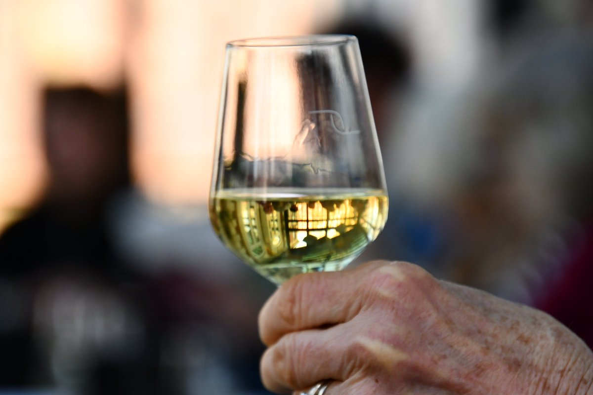 villedemarcq's tweet photo. De nombreuses activités réservées aux seniors, ont vu le jour en cette année 2025 parmi lesquelles, des sessions consacrées à  l'œnologie.
#marcqenbaroeul #vins #degustations https://t.co/B95X23OFfM
