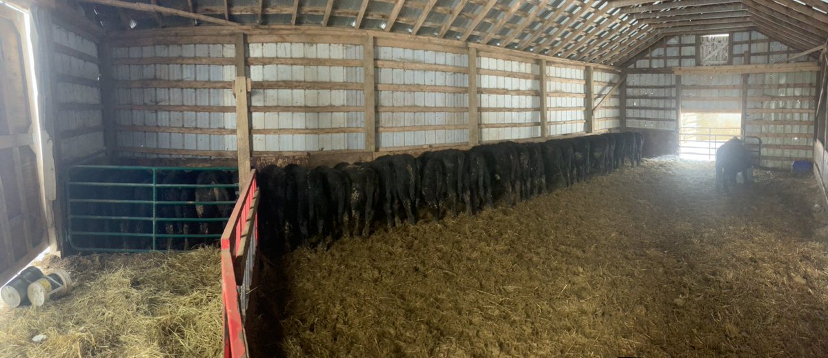 Chris Downey tweet media