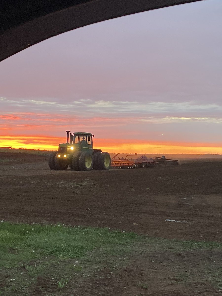 Chris Downey tweet media