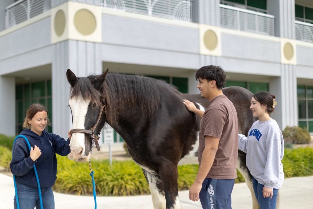 COS Tulare Campus Midterms Madness 🌳 TODAY March 5th Mental Health Awareness &amp; Animals from 11am-1pm 🌳