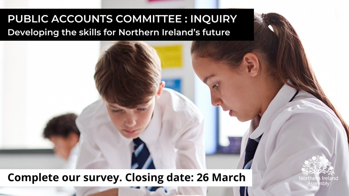 NIA_PAC's tweet photo. We’ve already heard from a range of stakeholders as part of our Inquiry into Developing the Skills for NI’s Future. If you’re a post-primary student, we’d now like to hear from you about the advice available to you on careers and qualifications. https://t.co/hy47OibaGe https://t.co/3Bakt6D9B5