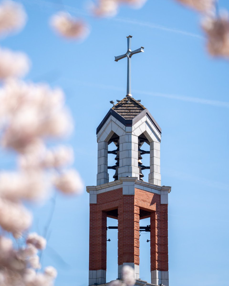 "Lent comes providentially to reawaken us, to shake us from our lethargy." — Pope Francis

Today is Ash Wednesday and the start of Lent 💜 
For those on campus, there will be masses in Chapel of Christ the Teacher at 12:05 pm and 5 pm.