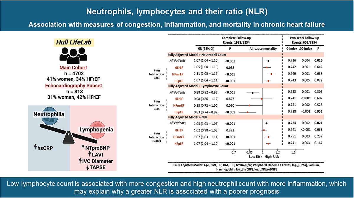 ESC Heart Failure Journal (@escheartfailure) on Twitter photo 🩸Can a blood test predict outcomes in #HF? Higher neutrophil-to-lymphocyte ratio links to more congestion, inflammation & higher #mortality.
🔎 Discover: bit.ly/ESCHF_NLR
<a href="/PiotrPonikowski/">Piotr Ponikowski</a> <a href="/Rezig_Asma/">Asma Oumkaltoum Rezig</a> <a href="/mimorsy/">Moustafa I. Morsy</a> <a href="/CVR_TomaszGuzik/">CVR Tomasz Guzik</a> <a href="/PierpaoloPel/">Pierpaolo Pellicori</a> #HeartFailure 🩸Can a blood test predict outcomes in #HF? Higher neutrophil-to-lymphocyte ratio links to more congestion, inflammation & higher #mortality.
🔎 Discover: bit.ly/ESCHF_NLR
<a href="/PiotrPonikowski/">Piotr Ponikowski</a> <a href="/Rezig_Asma/">Asma Oumkaltoum Rezig</a> <a href="/mimorsy/">Moustafa I. Morsy</a> <a href="/CVR_TomaszGuzik/">CVR Tomasz Guzik</a> <a href="/PierpaoloPel/">Pierpaolo Pellicori</a> #HeartFailure