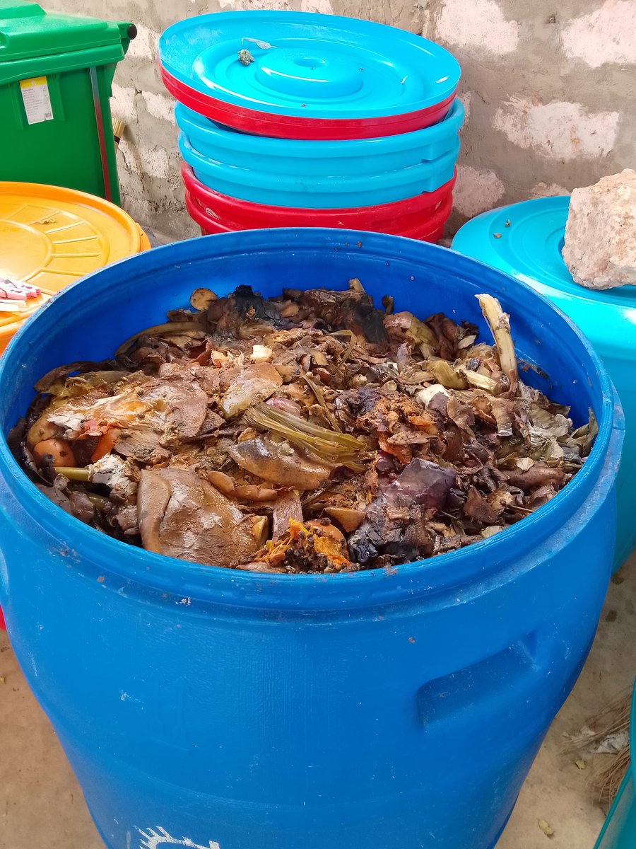 heri__kenya's tweet image. BSF Magic in Action!♻️
See how BSF larvae transform food waste into rich, sustainable resources!✨
Before: Food scraps &amp;amp; organic waste
After: Nutrient-rich compost &amp;amp; protein-packed larvae
A natural, sustainable solution for waste management!🌍

#WasteToWealth #EcoSolutions