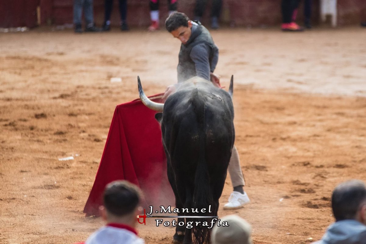 Filiberto en el rectángulo mágico de Mirobriga. #carnavaldeltoro 
#ciudadrodrigo #capea