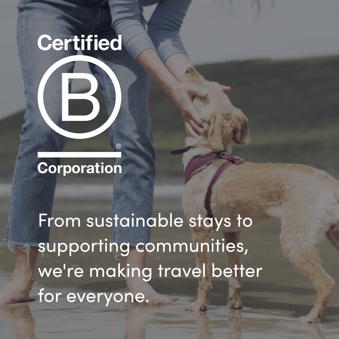 This B Corp Month, we're proud to share that Canine Cottages is officially B Corp Certified as part of Travel Chapter.

Read more about our journey so far:
social.caninecottages.co.uk/b-corp-certifi…

#BCorp #CertifiedBCorp #BetterBusiness #Sustainability #PurposeDriven