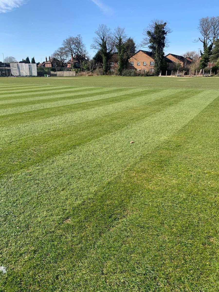 Square “squared”,cut and first pass with heavy roller <a href="/CheadleCC/">Cheadle Cricket Club</a> …