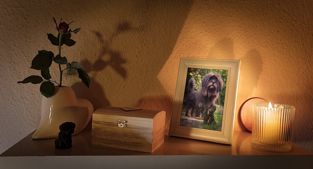 🇨asper 🌞 (@fellnase_casper) on Twitter photo 