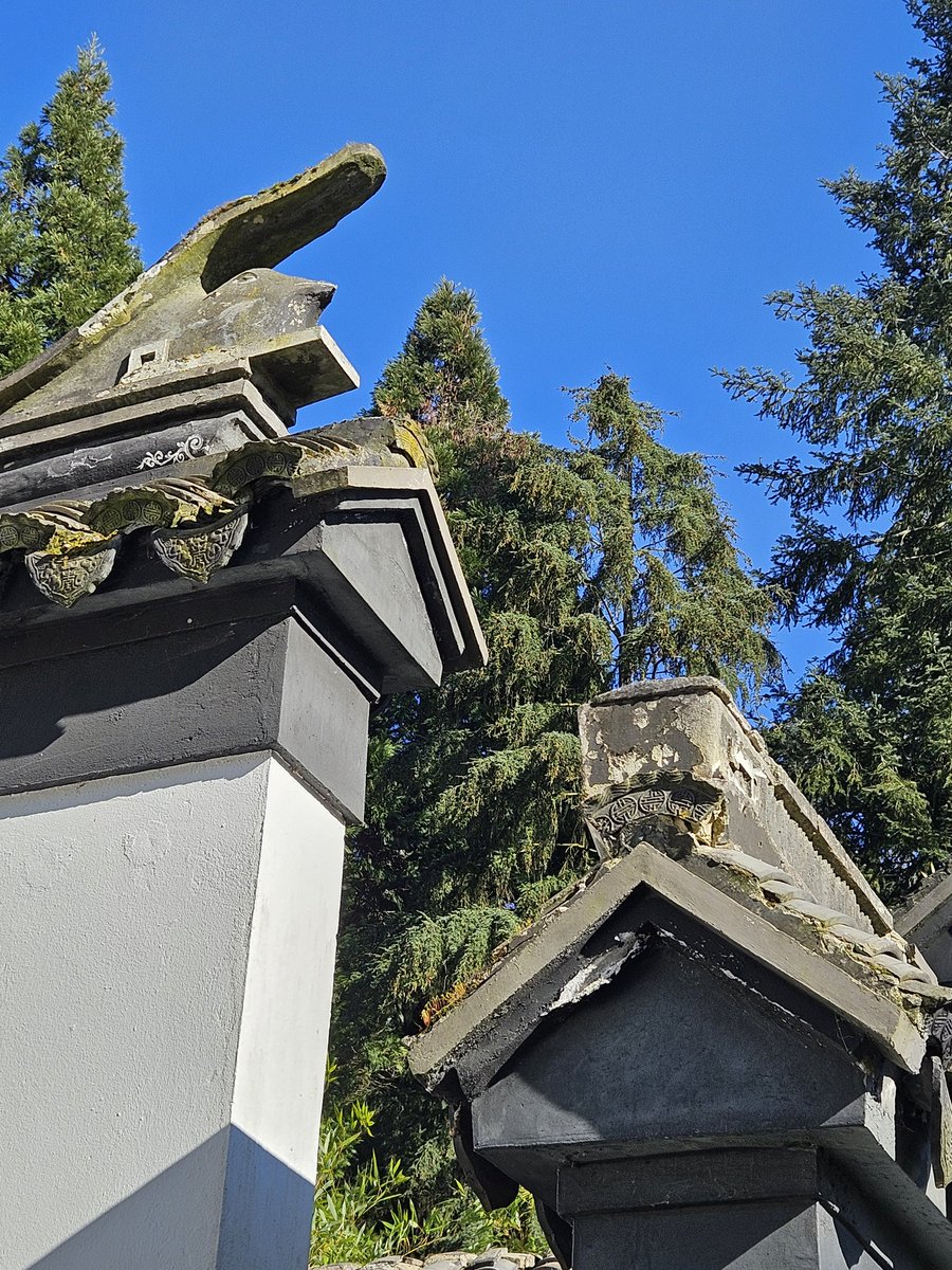 MCBotany's tweet image. Der #ChinesischeGarten im #Bochum|er #BotanischenGarten braucht Spenden für dringend notwendige Reparaturen
lmy.de/GDsOW
Gofundme:
lmy.de/RNMVB
Alternativ Herzchen der #StadtwerkeBochum
lmy.de/WIuEt
Bitte weitersagen!
#Ruhrpott