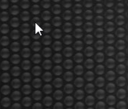 Joseph Lima 📸 tweet media