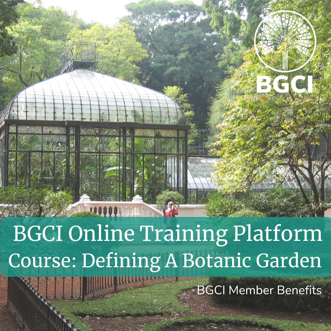 #DidYouKnow BGCI Members can access to a number of exclusive benefits. 
One of the top benefits is our online learning platform. We have a range of courses available in various languages! 
Learn more: buff.ly/Gu3UuxW 
#ConservationResources #GlobalConservationNetwork