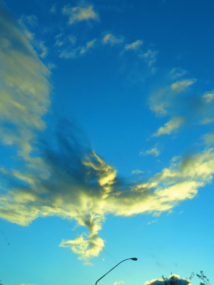 Mrs. Sizzle tweet media