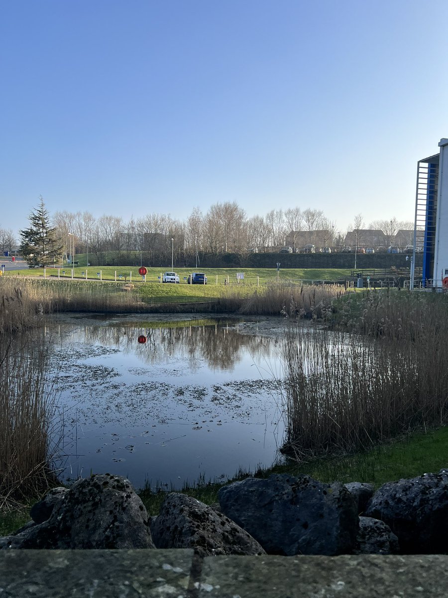 Waking out of day 3 with practice exams done ☑️ &amp; into some beautiful sunshine and blue skies