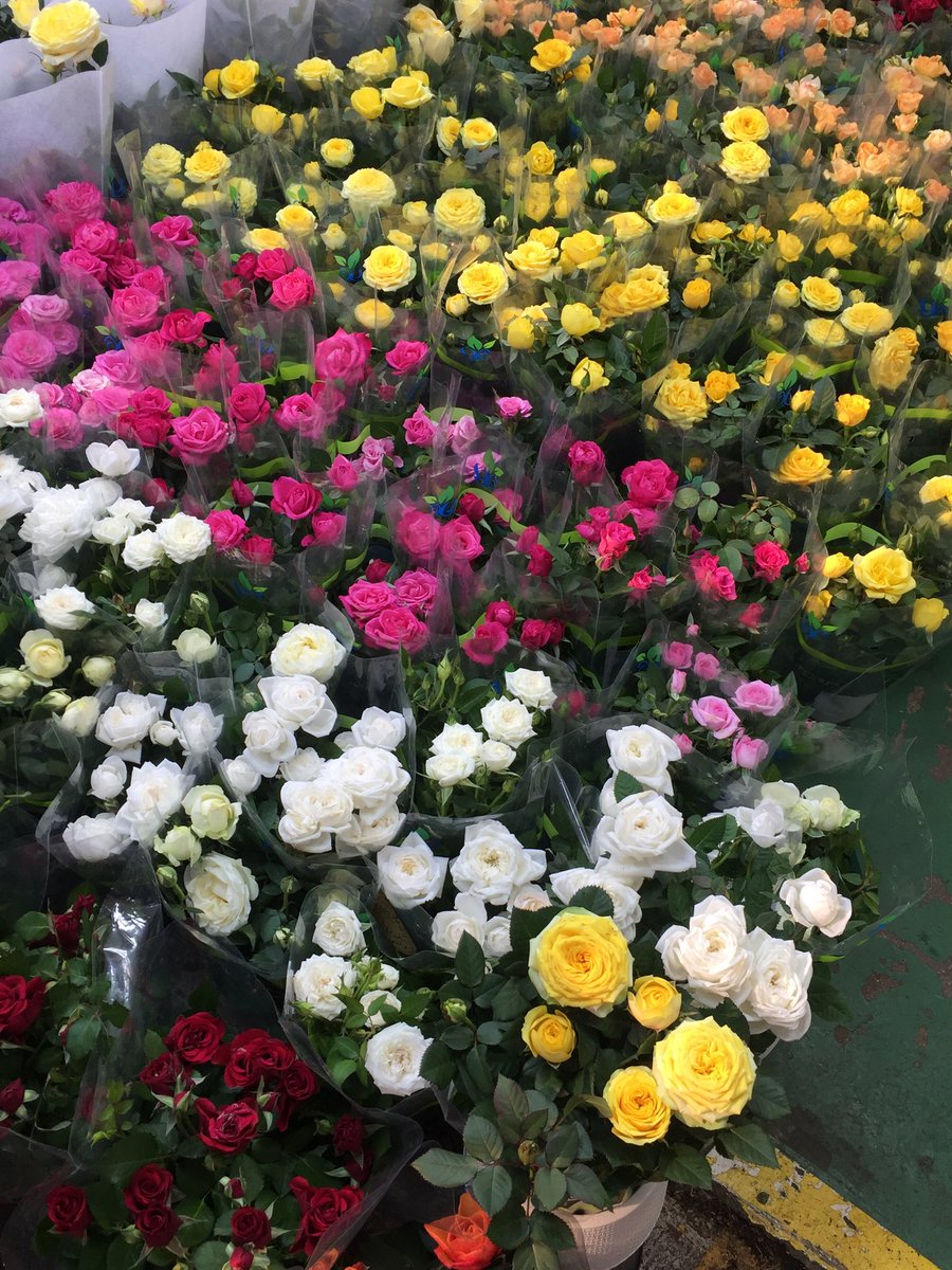 Visityourself27's tweet photo. ภาพที่ถ่ายจากเครื่องนะคะ https://t.co/EY5QcxzgEP