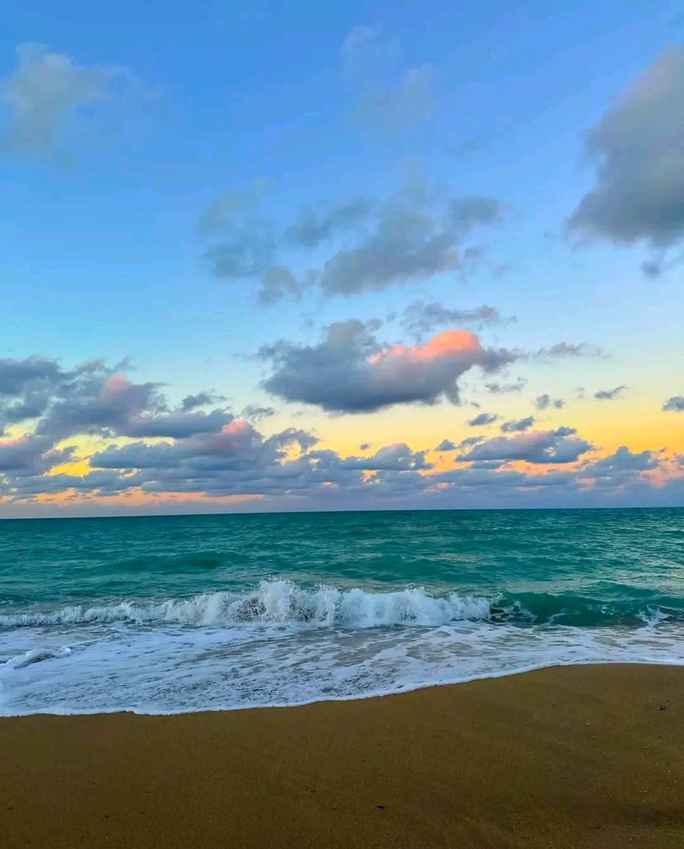 Cc ça fait un bail ✨