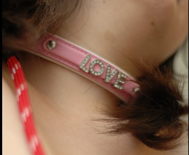 반응이 좋아서.....
그렇다고 하드한 성향은 아니고...