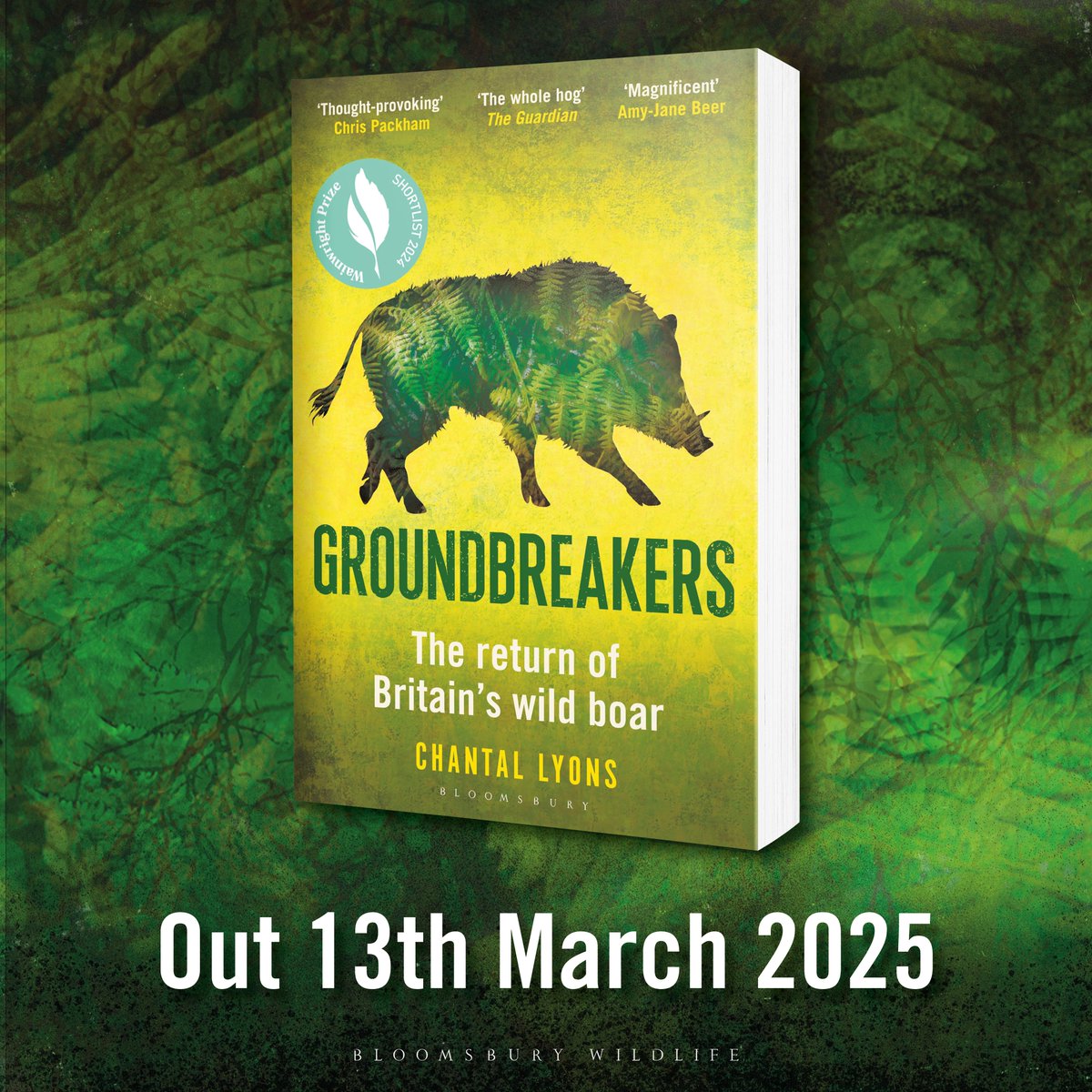Bloomsbury Wildlife (@chiffchat) on Twitter photo 'The remarkable story of Britain's wild boar.' THE GUARDIAN
'Full of joy, pathos, warmth, integrity and intrigue.' AMY-JANE BEER
'One of the most notable works of recent nature writing.' HELEN MACDONALD
<a href="/CSLyons/">Chantal Lyons</a> Groundbreakers is available in paperback next week! 🍂 🐖 'The remarkable story of Britain's wild boar.' THE GUARDIAN
'Full of joy, pathos, warmth, integrity and intrigue.' AMY-JANE BEER
'One of the most notable works of recent nature writing.' HELEN MACDONALD
<a href="/CSLyons/">Chantal Lyons</a> Groundbreakers is available in paperback next week! 🍂 🐖