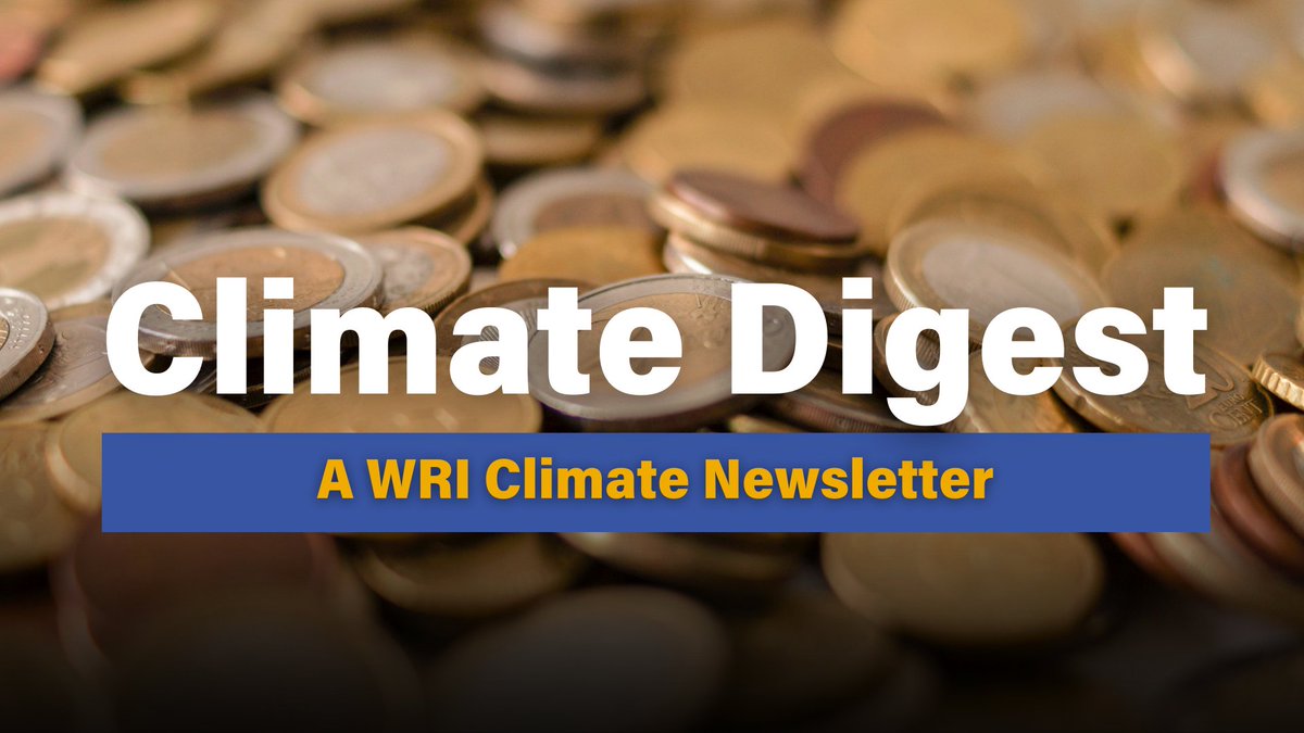 WRIClimate's tweet image. This month the WRI #ClimateDigest dives into the public banks critical role in climate finance, updates on NDCs, and more. 

Click here to read the full edition, or subscribe to get the full version to your inbox. ✉️ ➡️ bit.ly/41J5IfY

#Newsletter #NDCs #ClimateFinance…