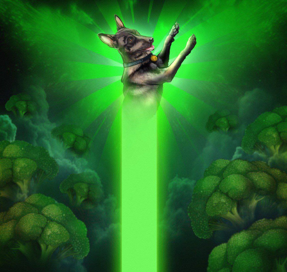 Ethereum has PEPE
 
Solana has BONK 
 
Base has BRETT
 
BNB has BROCCOLI
 
<a href="/FirstBroccoli/">$Broccoli</a> on BNB chain is only $32m market cap, and is <a href="/cz_binance/">CZ 🔶 BNB</a> real dog.
 
The new ‘face’ / ‘mascot’ of the #BNBchain.
 
How can you possible fade this?