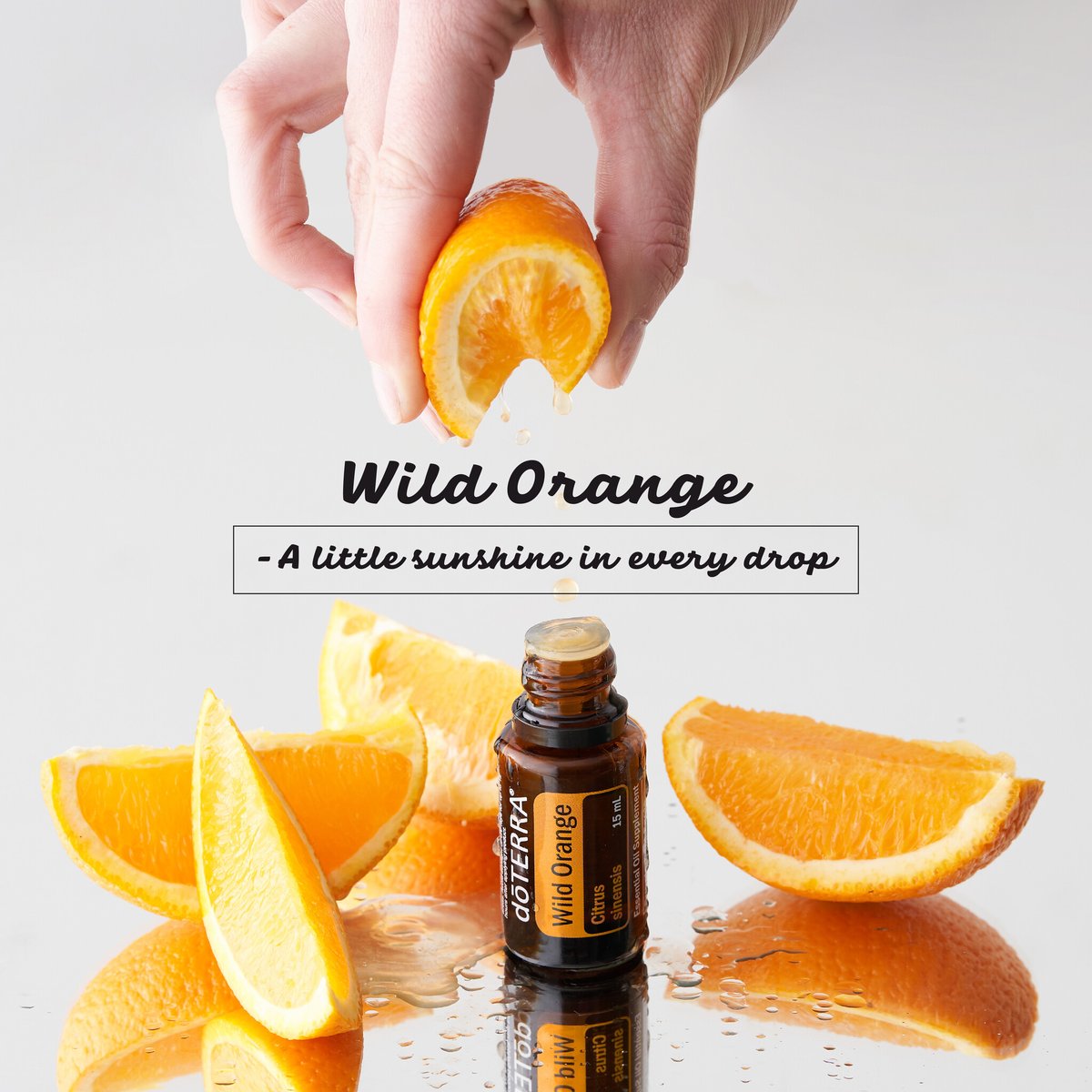 TGKuhr's tweet photo. Some essential oils just lift the environment around you. Wild Orange is one of them! 

✔️ A drop in your hands equals instant atmosphere boost. 

✔️ Add to a spray bottle with water to freshen up any space. 

✔️ Diffuse with Peppermint for an energetic aroma https://t.co/rM7AuNdBOx