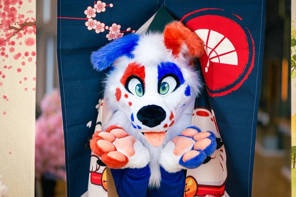 DireCreatures's tweet image. Some photos of this good boy that debutted at @nordicfuzzcon! Did you meet him there? :3
🐕@floppyearshofi
📸 @georgie_wolfy
Head and tail was done by @direcreatures
Handpaws by @wmw66costumes 💕