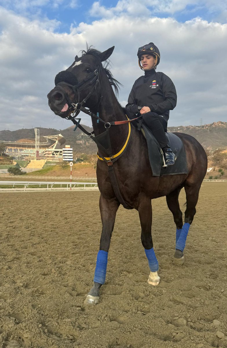 Fotos 📸| El jinete profesional, Jaime Lugo Jr. 🏇 presente en la arena del Hipódromo Internacional La Rinconada 🇻🇪. 

🏇 "Agradecido por estar aquí nuevamente. Vamos con Dios ¡Seguimos adelante!", expresó. 

¡Bienvenido a tu casa 🇻🇪! 

#Hipismo